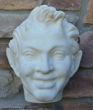 Load image into Gallery viewer, Roman Greek Faun of Vienne Bust Pan Satyr Fauna bust Sculpture wall plaque 10" www.Neo-Mfg.com home decor Museum Reproduction