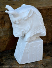 Load image into Gallery viewer, Assyrian Persian Persepolis Bull cow head capital Sculpture statue 10" www.Neo-Mfg.com Museum reproduction