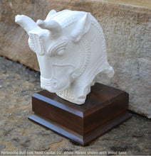Load image into Gallery viewer, Assyrian Persian Persepolis Bull cow head capital Sculpture statue 10&quot; www.Neo-Mfg.com Museum reproduction
