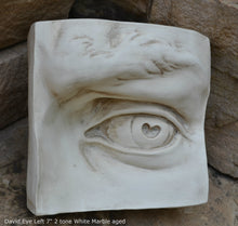 Load image into Gallery viewer, Roman Michelangelo large David Eye, Nose or mouth face Plaque Sculpture www.Neo-Mfg.com museum reproduction Brucciani sold as EACH