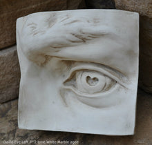 Load image into Gallery viewer, Roman Michelangelo large David Eye, Nose or mouth face Plaque Sculpture www.Neo-Mfg.com museum reproduction Brucciani sold as EACH
