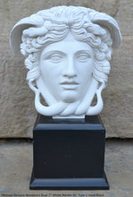 Load image into Gallery viewer, History Medusa Versace Rondanini Bust design Artifact Carved Sculpture Statue 7" www.Neo-Mfg.com Mounted on base