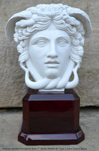 Load image into Gallery viewer, History Medusa Versace Rondanini Bust design Artifact Carved Sculpture Statue 7" www.Neo-Mfg.com Mounted on base