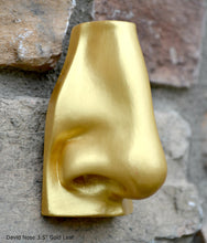 Load image into Gallery viewer, Roman Michelangelo David Eye, Nose or mouth face Plaque Artifact Sculpture www.Neo-Mfg.com museum reproduction Brucciani sold as EACH
