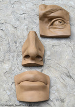 Load image into Gallery viewer, Roman Michelangelo David Eye, Nose or mouth face Plaque Artifact Sculpture www.Neo-Mfg.com museum reproduction Brucciani sold as EACH