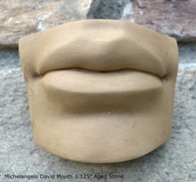 Load image into Gallery viewer, Roman Michelangelo David Eye, Nose or mouth face Plaque Artifact Sculpture www.Neo-Mfg.com museum reproduction Brucciani sold as EACH