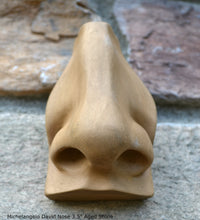 Load image into Gallery viewer, Roman Michelangelo David Eye, Nose or mouth face Plaque Artifact Sculpture www.Neo-Mfg.com museum reproduction Brucciani sold as EACH