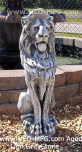 Load image into Gallery viewer, Animal LION aged sculpture statue 32&quot; tall Neo-Mfg Museum reproduction
