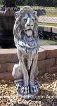 Load image into Gallery viewer, Animal LION aged sculpture statue 32" tall Neo-Mfg Museum reproduction
