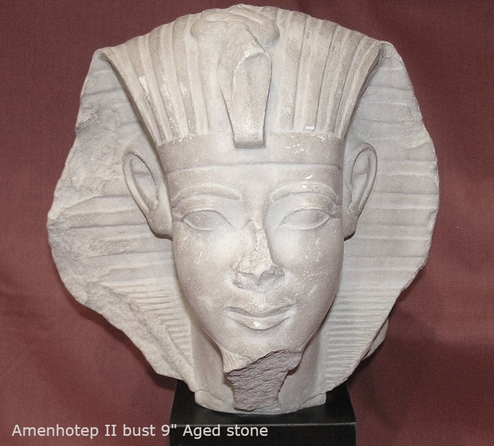 History Egyptian Amenhotep / Amenophis II bust head Sculpture Statue 9