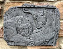 Load image into Gallery viewer, Assyrian Lion and Bull Ox Sculpture Statue Relief wall fragment Persepolis www.Neo-mfg.com 16"

