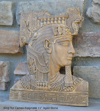 Load image into Gallery viewer, Egyptian King Tut Cameo Fragment Sculptural wall relief plaque www.Neo-Mfg.com 11&quot; h14
