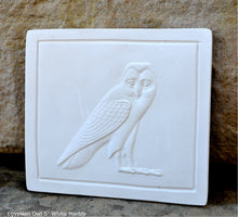 Load image into Gallery viewer, History Egyptian Owl Sculptural wall relief www.Neo-Mfg.com 5" k8
