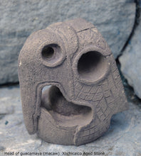 Load image into Gallery viewer, History Aztec Maya Head of guacamaya (macaw) from Xochicalco Sculpture Statue 4&quot; Tall www.Neo-Mfg.com Museum reproduction
