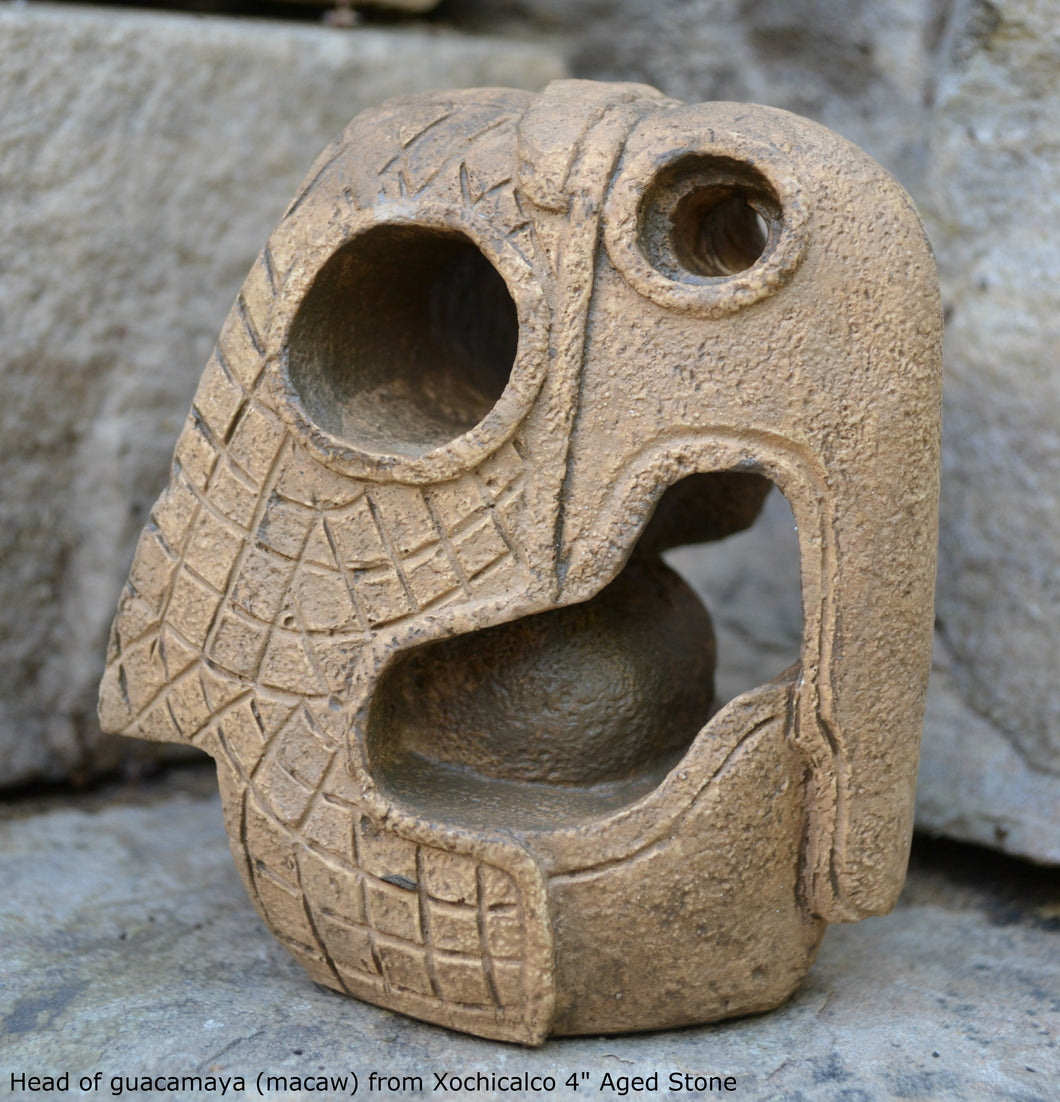 History Aztec Maya Head of guacamaya (macaw) from Xochicalco Sculpture Statue 4