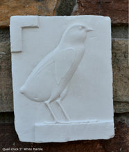 Load image into Gallery viewer, Egyptian Quail chick Sculpture reproduction art 5&quot; www.Neo-Mfg.com home decor Museum k6
