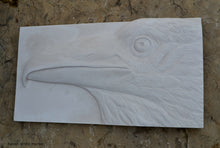 Load image into Gallery viewer, Animal Raven bird Sculptural wall relief nature carving tile plaque www.Neo-Mfg.com 17"
