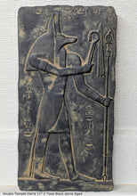 Load image into Gallery viewer, History Egyptian Anubis Temple Osiris Sculptural wall relief www.Neo-Mfg.com 11&quot; e4
