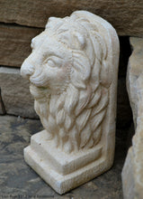 Load image into Gallery viewer, Lion Bust Crete sculpture art www.Neo-Mfg.com home decor 11&quot;

