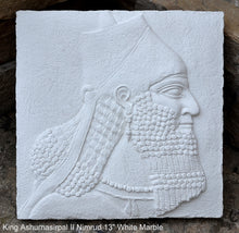 Load image into Gallery viewer, King Ashurnasirpal II Nimrud bust cameo Fragment Sculptural wall relief plaque www.Neo-Mfg.com 13&quot;
