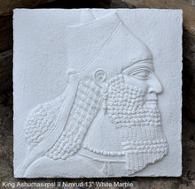Load image into Gallery viewer, King Ashurnasirpal II Nimrud bust cameo Fragment Sculptural wall relief plaque www.Neo-Mfg.com 13"
