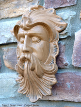 Load image into Gallery viewer, Nature Greenman French Green man wall relief www.Neo-Mfg.com 11&quot;
