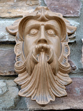 Load image into Gallery viewer, Nature Greenman French Green man wall relief www.Neo-Mfg.com 11&quot;
