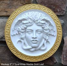 Load image into Gallery viewer, History Medusa Artifact Carved wall plaque Sculpture Statue 8" www.Neo-Mfg.com high relief
