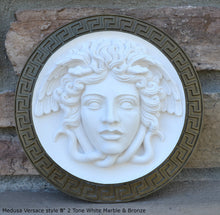 Load image into Gallery viewer, History Medusa Artifact Carved wall plaque Sculpture Statue 8" www.Neo-Mfg.com high relief
