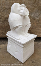 Load image into Gallery viewer, History Egyptian God Thôt statue Sculpture museum reproduction art 6.5&quot; www.Neo-Mfg.com home decor relief
