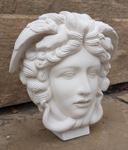 Load image into Gallery viewer, Medusa Bust design Artifact Carved Sculpture Statue 9&quot; www.Neo-Mfg.com
