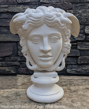 Load image into Gallery viewer, History Medusa Rondanini Bust design Artifact Carved Sculpture Statue 17&quot; www.Neo-Mfg.com on base
