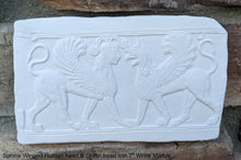 Load image into Gallery viewer, Roman Greek Sphinx Winged Human headed &amp; Griffin headed lion Sculptural wall relief plaque www.Neo-Mfg.com 7&quot; Museum reproduction k28
