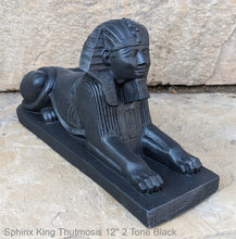 Load image into Gallery viewer, Egyptian Sphinx King Thutmosis Sculpture Statue 12&quot; museum reproduction
