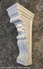 Load image into Gallery viewer, Lion Face narrow thin Corbel scroll bracket Architectural accent 13.5&quot; www.Neo-Mfg.com Home decor
