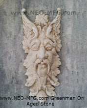Load image into Gallery viewer, Nature Garden Greenman ORI n Sculpture Plaque 20" Neo-Mfg
