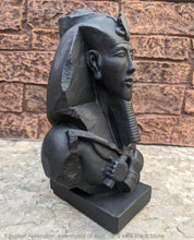 Load image into Gallery viewer, History Egyptian Pharaoh Akhenaten Amenhotep IV Sun god Sculptural bust Neo-Mfg 12"
