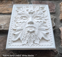 Load image into Gallery viewer, Nature Berry Leaf Mythical Man Mask greenman greenwoman Wall Plaque Vintage sculpture 6" www.Neo-Mfg.com green man woman
