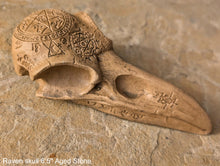 Load image into Gallery viewer, Wiccan Raven skull engraving Wall Plaque Sculpture Pagan 6.5&quot; www.Neo-Mfg.com mythical
