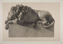 Load image into Gallery viewer, Canova Crouching Lion Sculpture Statue 8.5" long www.Neo-Mfg.com home decor
