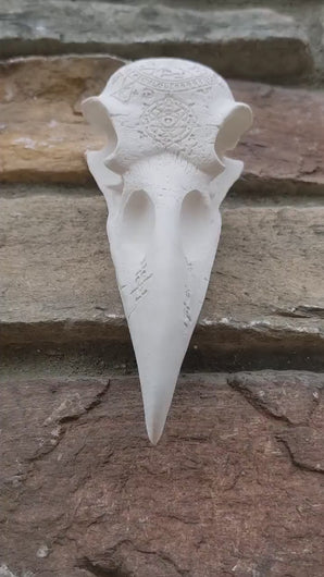 Wiccan Raven skull engraving Wall Plaque Sculpture Pagan 6.5"  www.Neo-Mfg.com mythical