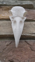 Load and play video in Gallery viewer, Wiccan Raven skull engraving Wall Plaque Sculpture Pagan 6.5"  www.Neo-Mfg.com mythical
