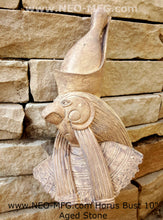 Load image into Gallery viewer, History Egyptian Horus Falcon God Fragment carving Sculptural wall relief plaque www.Neo-Mfg.com 10&quot;
