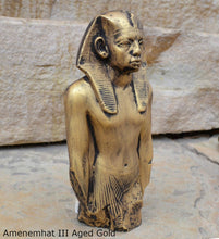 Load image into Gallery viewer, History Egyptian Amenemhat III Sculptural relief statue www.Neo-Mfg.com 8.5&quot; no base
