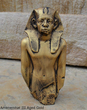 Load image into Gallery viewer, History Egyptian Amenemhat III Sculptural relief statue www.Neo-Mfg.com 8.5&quot; no base
