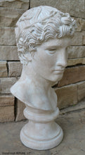 Load image into Gallery viewer, Roman Greek victorious Athlete Bust sculpture 17&quot; www.Neo-Mfg.com home decor Museum reproduction
