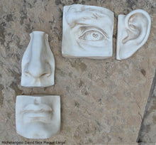 Load image into Gallery viewer, Roman Michelangelo large David Eye, Nose or mouth face Plaque Sculpture  www.Neo-Mfg.com museum reproduction Brucciani sold as EACH
