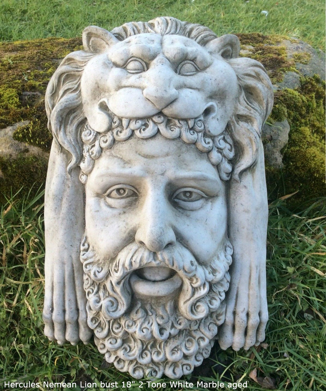 Hercules and The Nemean Lion bust Sculpture 18