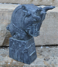 Load image into Gallery viewer, Assyrian Persian Persepolis Bull cow head capital Sculpture statue 10&quot; www.Neo-Mfg.com Museum reproduction

