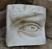 Load image into Gallery viewer, Roman Michelangelo large David Eye, Nose or mouth face Plaque Sculpture  www.Neo-Mfg.com museum reproduction Brucciani sold as EACH
